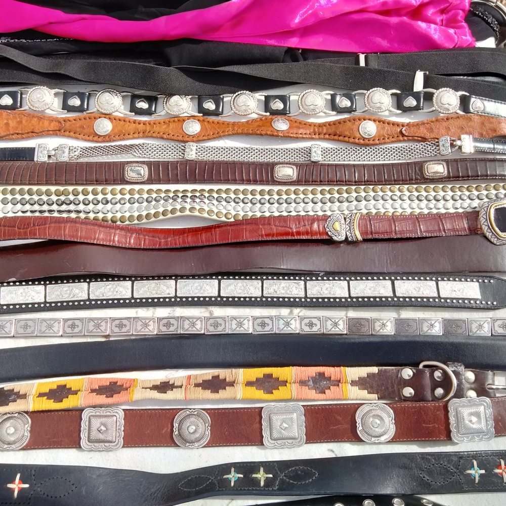 Stylish Assorted Belts Collection